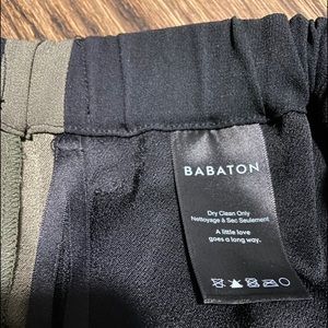 Aritzia Dexter pant
